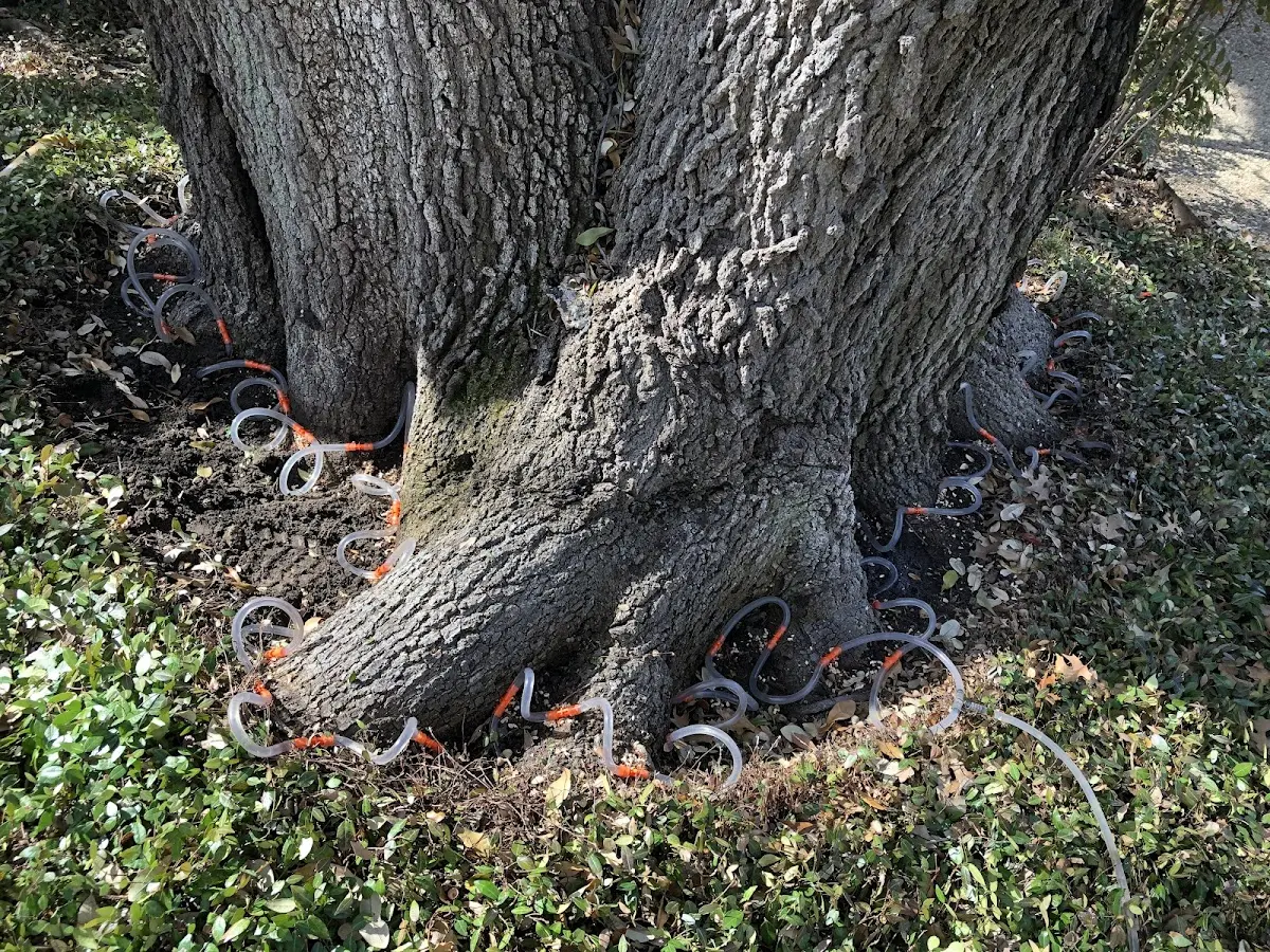 Detailed Shrub and Hedge Trimming job site in Anna