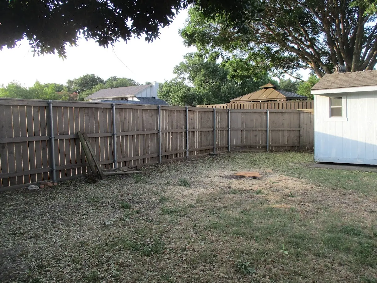 Cleared yard after professional tree removal in Anna